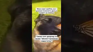 мем из тик тока #мемы #приколы #разрывная #мемизтиктока #смех #тикток #угар #юмор #мемы_тикток