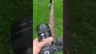 красота повсюду с Canon 100mm.