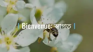 Les Voyelles en Bengali - Part 4. Aussi: Introduction à la consonne