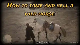 How to tame and sell a wild horse in Red Dead Redemption 2