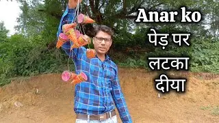 अनार पटाखे को पेड़ पर लटका कर जलाया।The Flower Pots Firecracker Was Hung On The Tree And Lit.