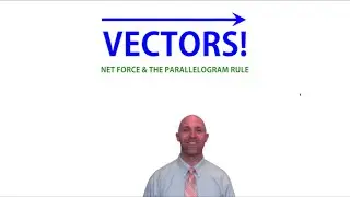 WHAT IS A VECTOR? The Physics of Net Force, Vectors, and Equilibrium.