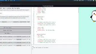 freeCodeCamp: Use a custom CSS Variable
