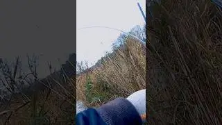 Щука умеет удивить с двойной поклевкой😂👌 #fishing #fish #рыбалка #pike #pikefishing #fishingvideo