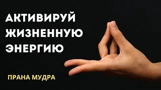 Эта мудра активирует жизненную энергию | Прана мудра