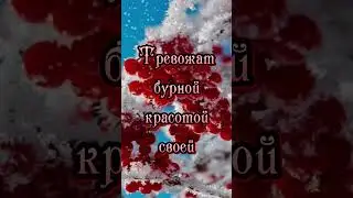 Доброе утро! Красивоепожелание