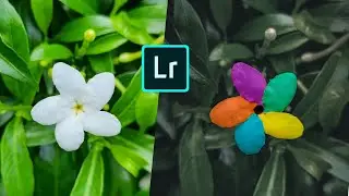 Lightroom Color Change Tutorial || Lightroom Tutorial | How To Change Color Of  Object In Lightroom