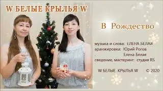 W БЕЛЫЕ  КРЫЛЬЯ W   -  В Рождество