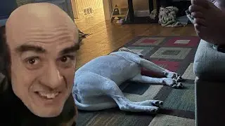 Heehaw (REMASTERED)