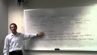 Digital Communications - Lecture 1