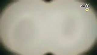 Kore kılip »» Manzara