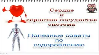 Оздоровление сердечно-сосудистой системы. Полезные советы.