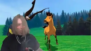 ФИСПЕКТ Слушает 