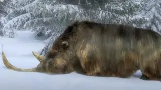 10 Extinct Animals Scientists Might Bring Back
