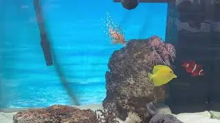 Расшевелил морское болотце)