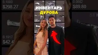 СКОЛЬКО СТОИТ ИНВЕНТАРЬ ДЕВУШКИ ПАВЛА ДУРОВА? 