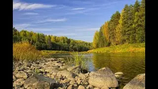 №25 Гармонизация прохождения импульсов и их испускания