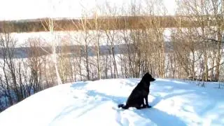 Река волга зима
