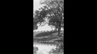 Rediscovering Memories: The Stories Behind Old Slides and Negatives - Part 1