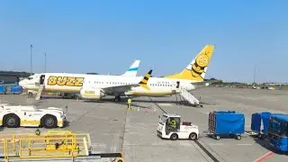 ОХОТА НА МОНСТРА ! ДУБЛЬ  ДВА ! 😂