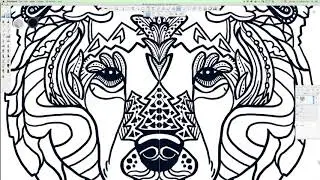 Doodl Creative Studio - Grizzly Bear Face Time Lapse Line Art Drawing