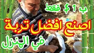 طريقة عمل افضل تربة للنباتات المنزلية