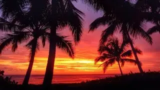 HAWAII HD III (Lucky We Live Hawaii) 