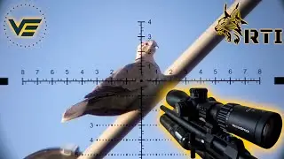 New Pest Shooting Combo Vector Continental & RTI Prophet 2
