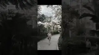 МэДжИк😱🤩🤩