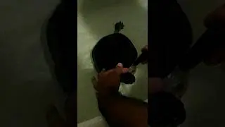 Owner pets turtle's head