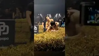 Адос - Ганнибал ! НОКАУТ на ТОП ДОГ 26 !