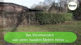 Das Verschwinden von Hecken an Kleingärten | BUND Köln