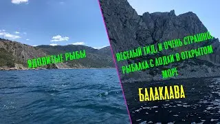 Рыбалка в Крыму