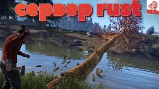 как установить  свой локальный сервер в русте/ rust и выдать права админа ?+ бинды +ссылка+команды!