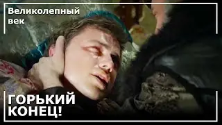 Джихангир Скончался | Великолепный век | Великолепный век