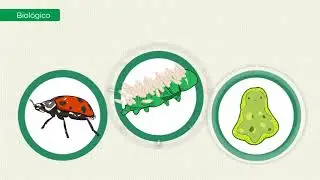 6. Métodos De Control De Plagas (AGRONOMÍA)🌱