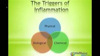 Inflammation Short Title // WellBeingGPS.com