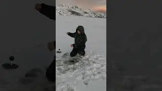 ГОРЯТ МОРСКИЕ ФЛАЖКИ