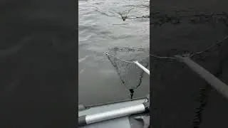 Рыбалка на Псковщине. 26🎣🎣🎣
