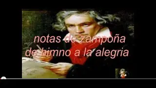 notas de zampoña de himno a la alegria
