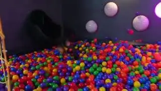 dawko funny moments