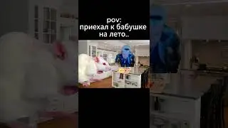 Когда приехал к бабушке в деревню 