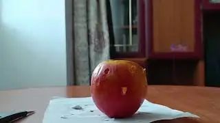 стрельба в яблоко