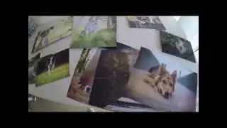 [Behind the scenes] Fotoworkshop bei Julia Poker