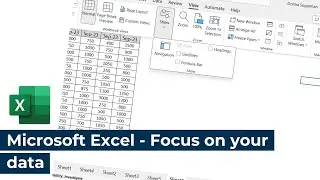 Microsoft Excel - Focus on your data