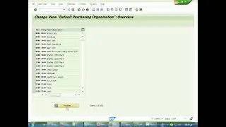 Automatic PO  - Standard purchase ORG