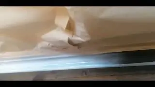 Мазда 3