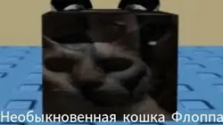 Как найти Необыкновенная кошка Флоппа
