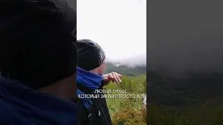 Камчатский камень и густой туман)😅 #камчатка #камчатскийкрай
