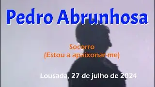 Pedro Abrunhosa, Socorro
